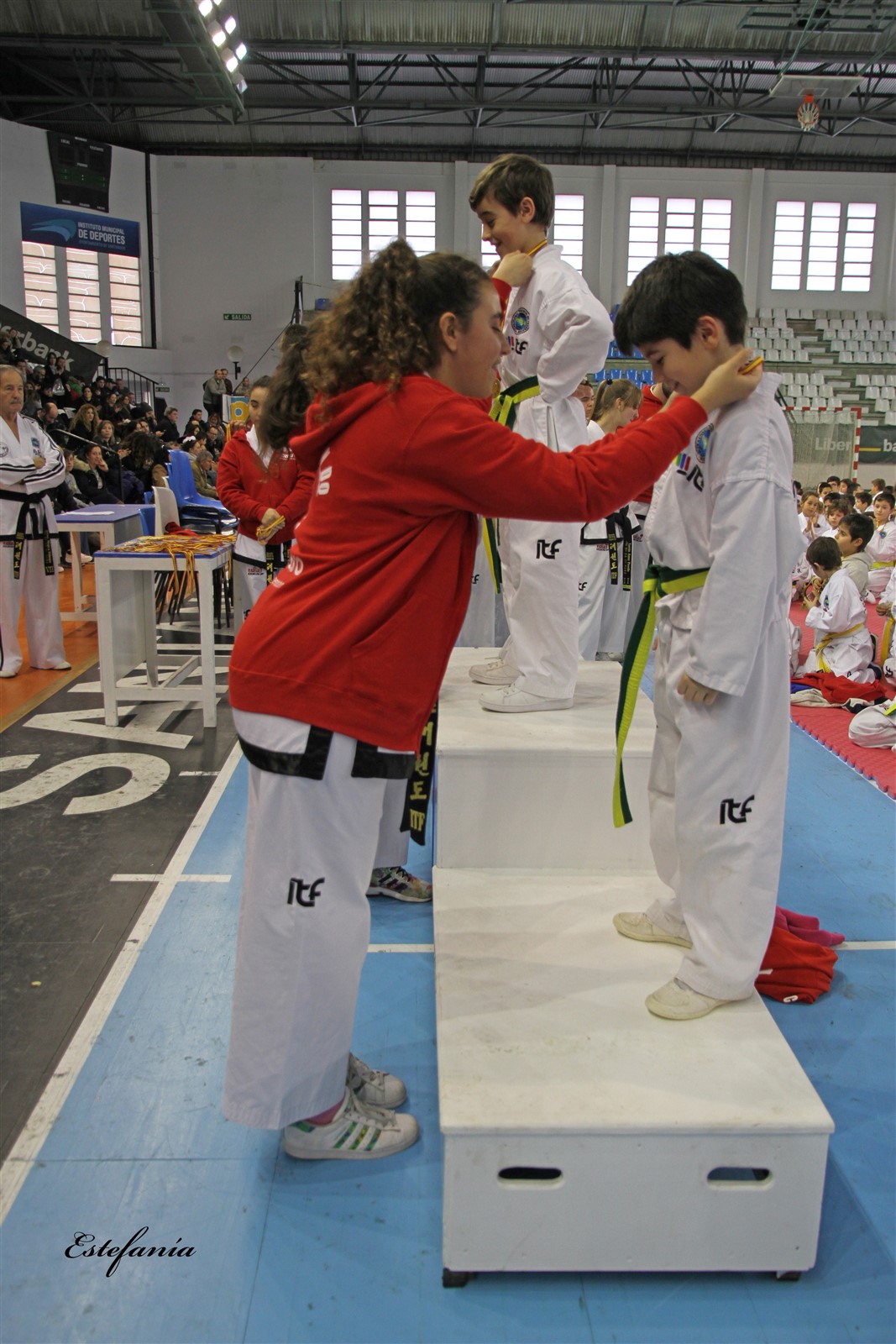 Taekwondo (252).jpg